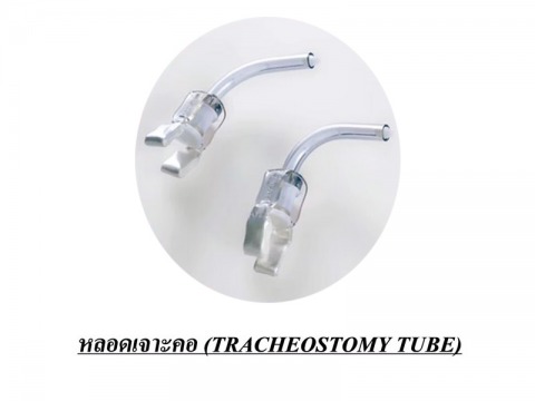 หลอดสำหรับเจาะคอ